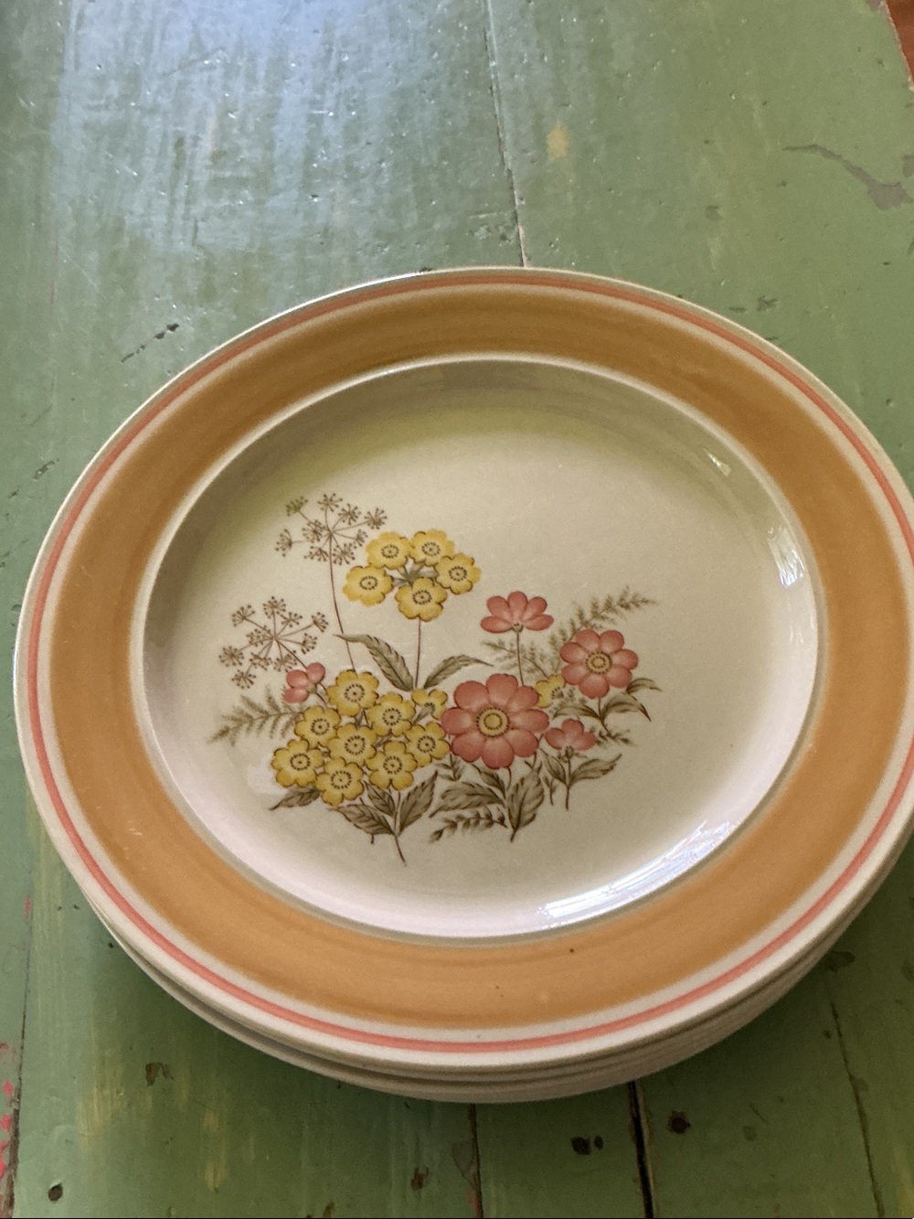 Vintage Newcor Stoneware Floral  Dinner Plates